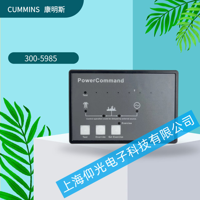 CUMMINS˹l늙CSTS1311